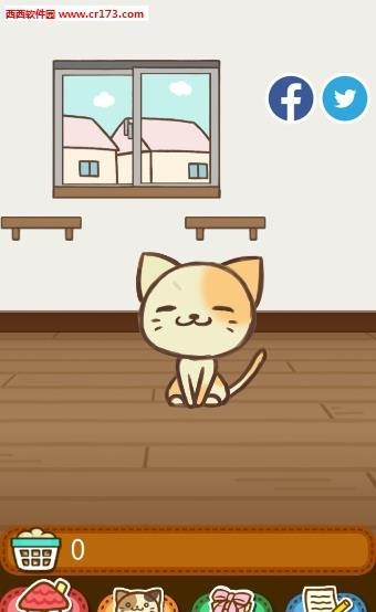 猫咪的毛