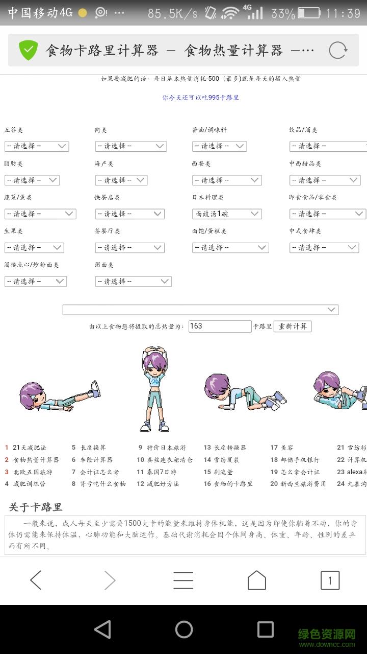 食物卡路里计算器