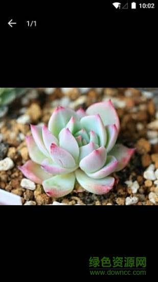 多肉成长记  v4.2.3图4
