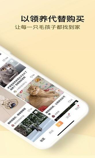 小萌猫  v1.0.2图4