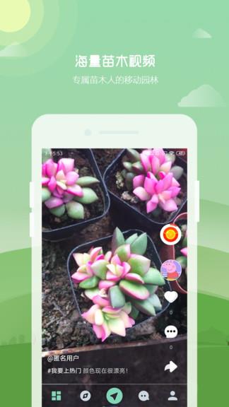 懂苗木  v2.9.8图4