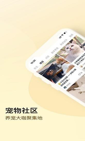 小萌猫  v1.0.2图1