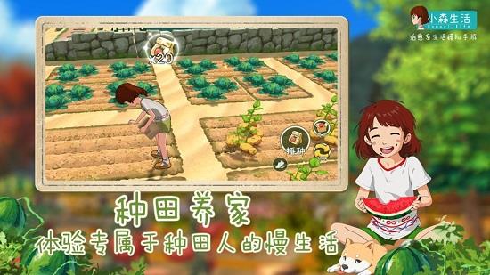 小森生活内测版