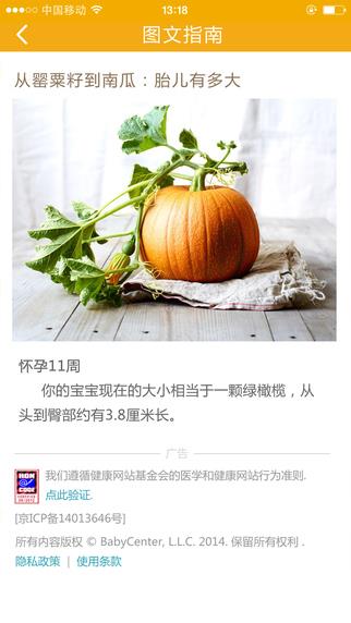 孕期指南