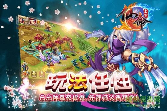 仙命手游  v1.0图2