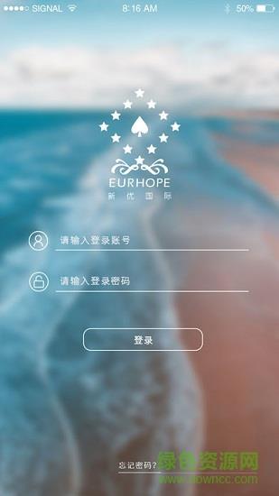 新优国际