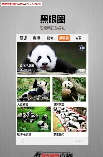 金熊猫直播  v1.0.5图2