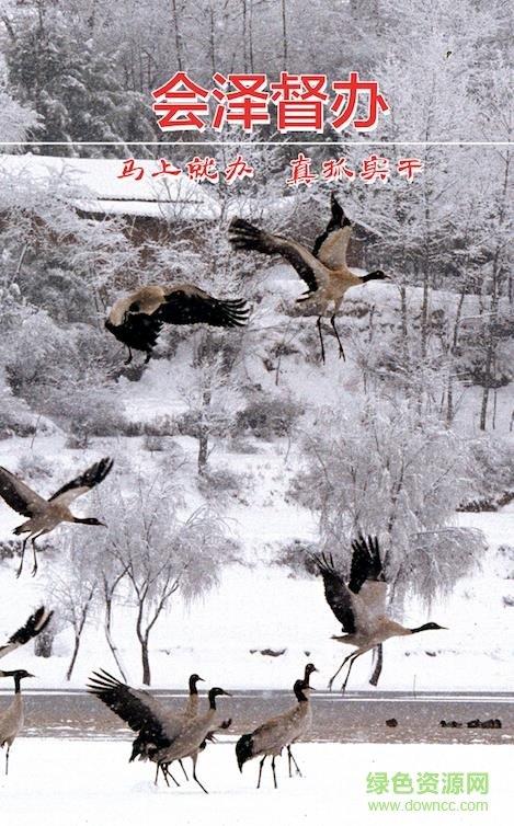 会泽督办