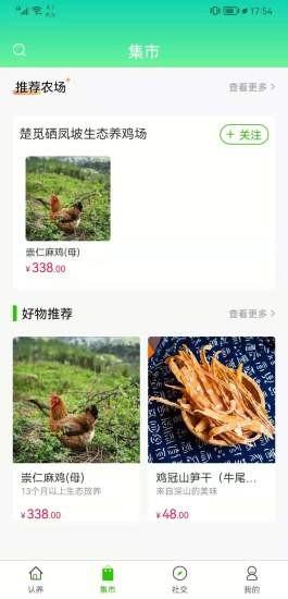风清养