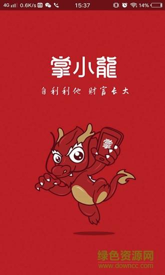 掌小龙