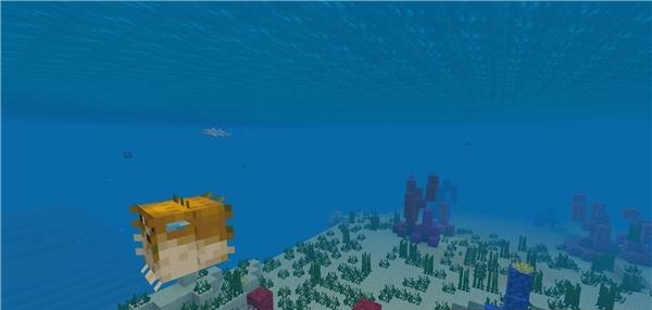 我的世界海洋版本  v1.8.0.47903图3