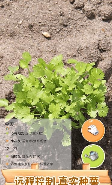 水滴农场  v1.0.0图2