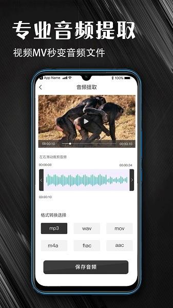 MP3音频提取器术图  v1.0.19图3