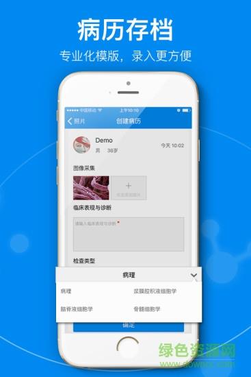 泰瑞镜下