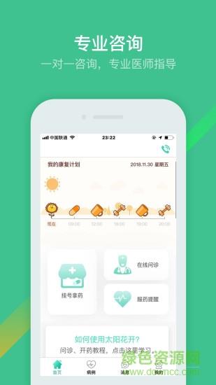 太阳花开