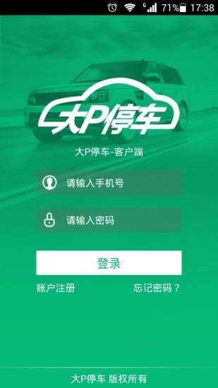 大P停车  v1.0图2