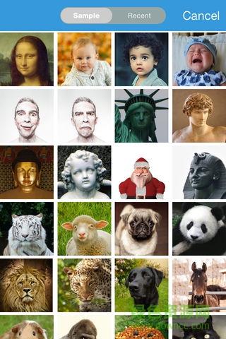 face story