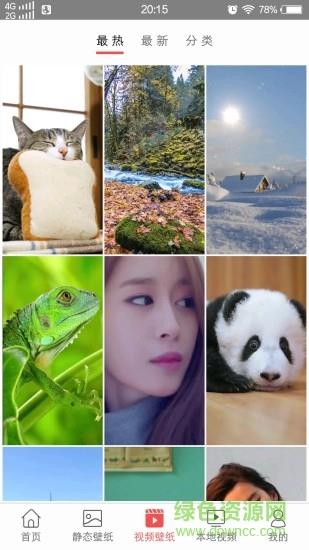 旋风壁纸  v1.1.0图3