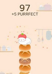 Cat Bakery