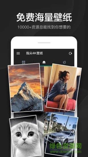 指尖4K壁纸  v2.6.3.2图4