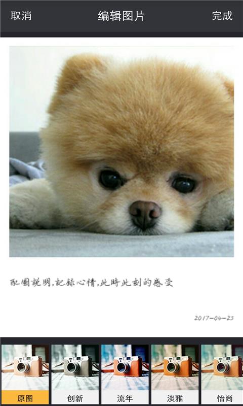 DIY美图  v1.1.0图2