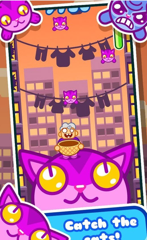 猫猫篮子