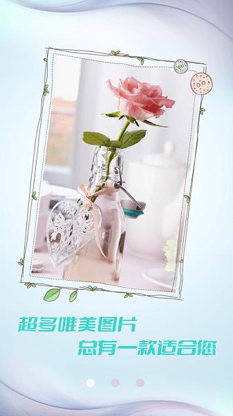 小猪壁纸大全  v1.0.1图1