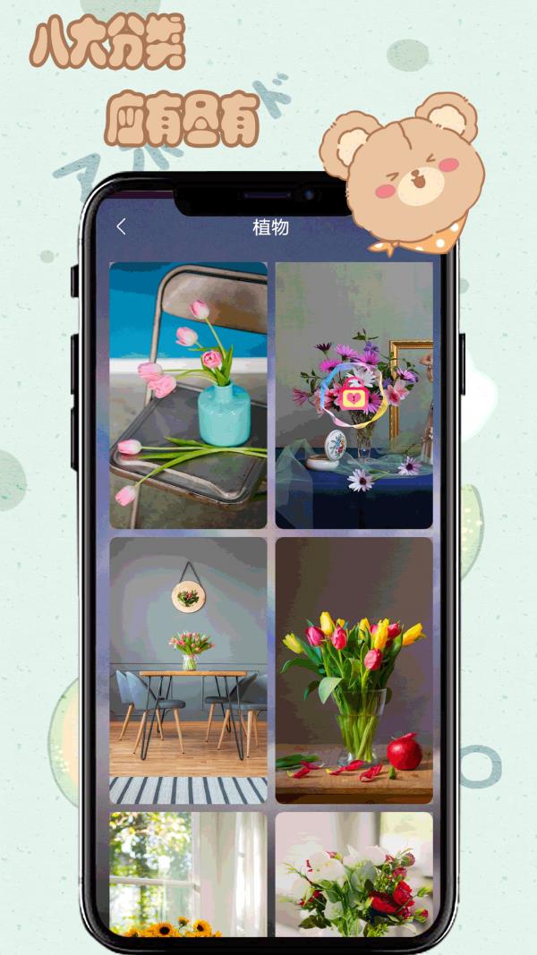 元气小熊壁纸  v1.7图2