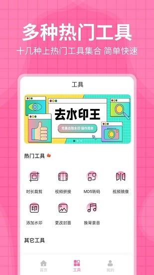 每日水印王  v3.2.4图3