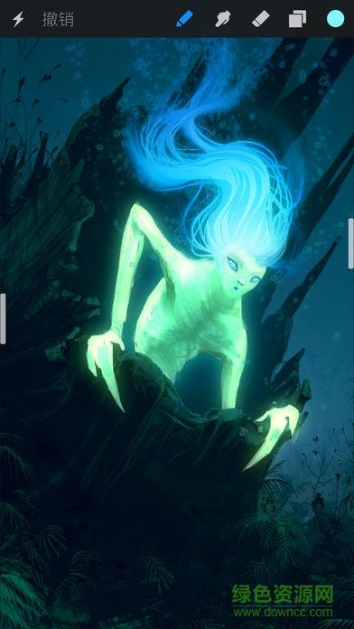 Procreate Pocket