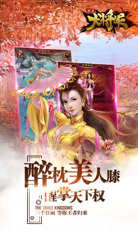 我是大将军