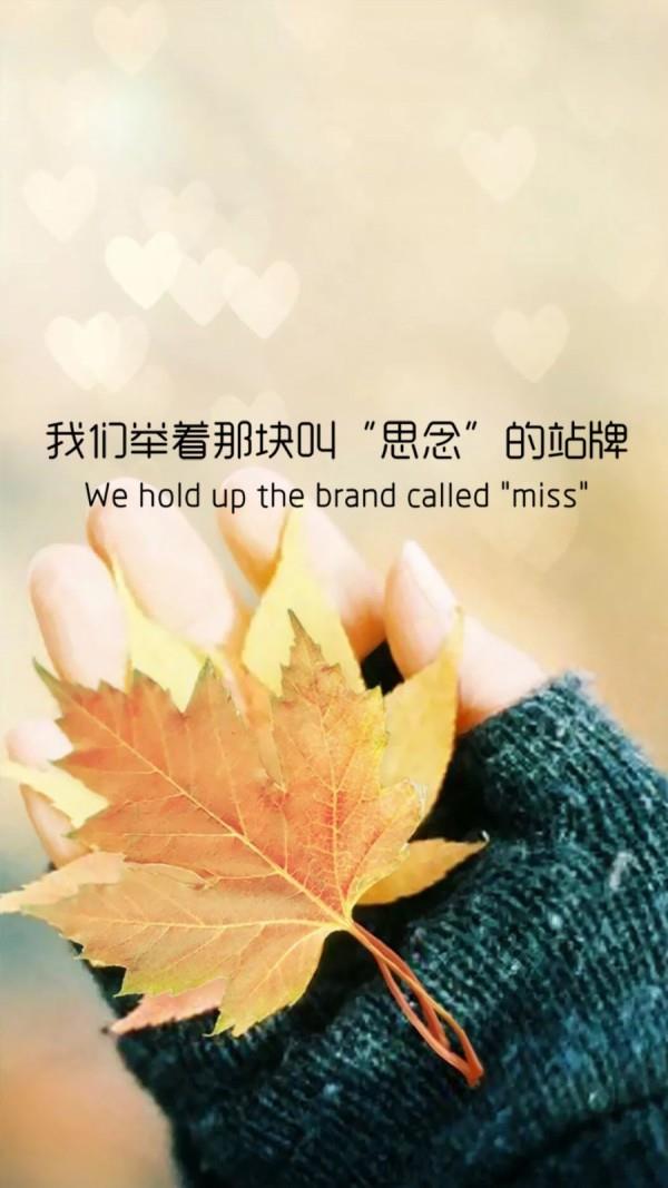 旅游到我家  v3.0.5图2