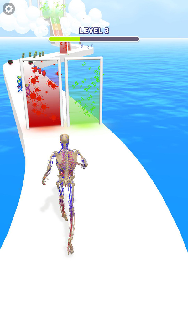 人类跑步进化  v1.0.1图1