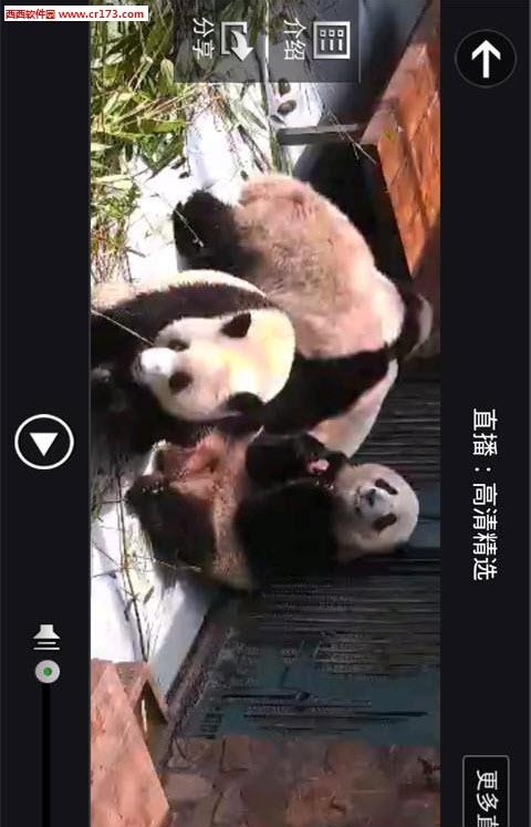 ipanda熊猫频道  v2.1.9图1