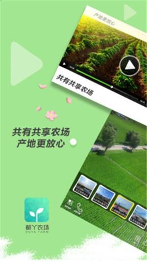 都丫农场  v1.1.0图4