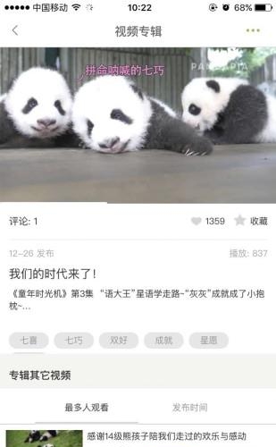 pandapia直播