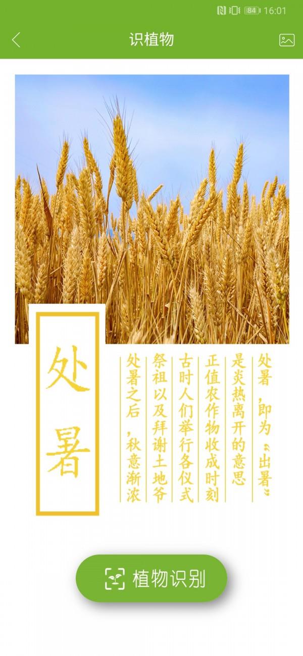 植物网  v2.1.8图4