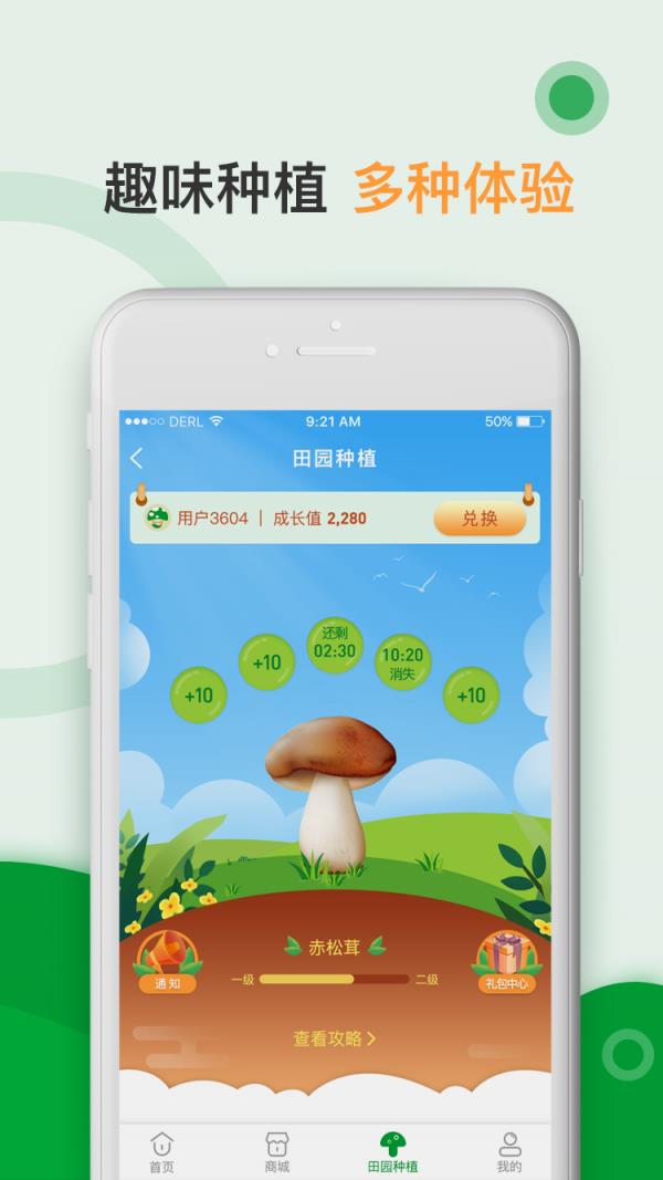 蘑菇营  v2.2.8图4