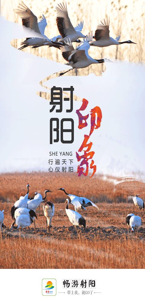 畅游射阳  v0.0.45图4