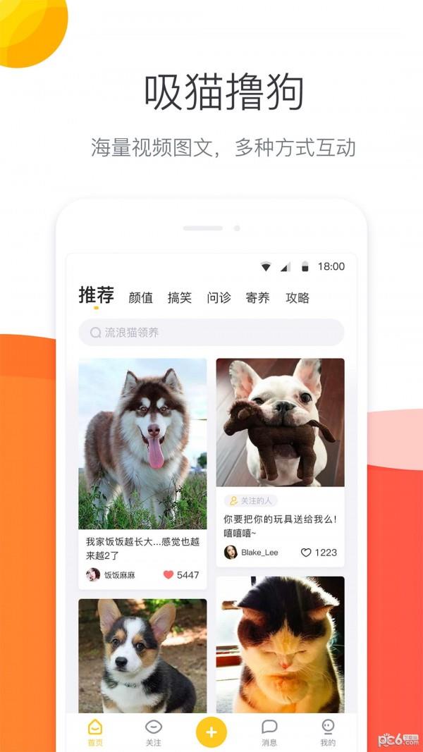 宠优优  v1.9.6图2