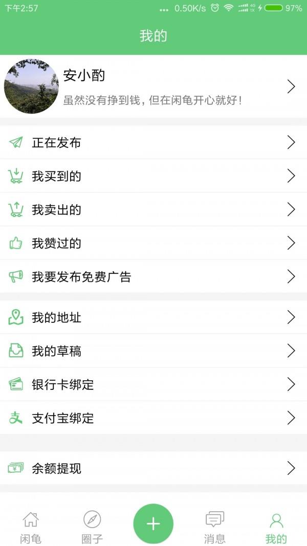 闲龟