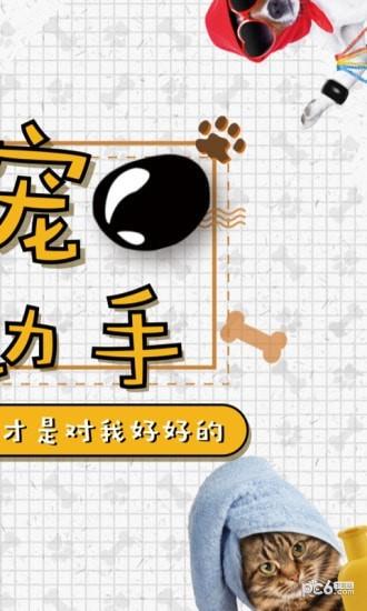 四只猫  v2.0图2
