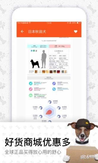 四只猫  v2.0图5