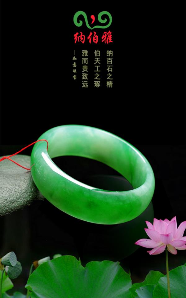 纳伯雅  v1.2图1