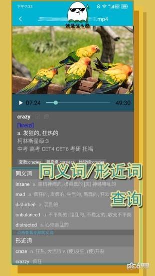 单词播放器  v1.0.0图5