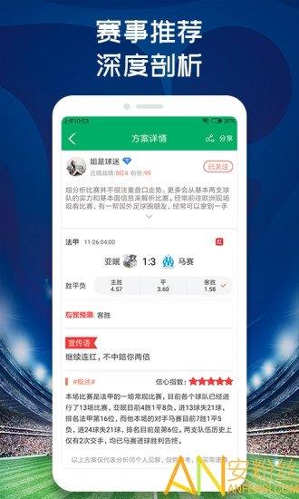 球料