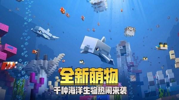 我的世界海洋之约国际服  v1.25.5.146956图2