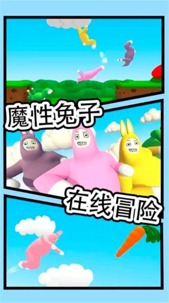 超级疯狂兔子人双人
