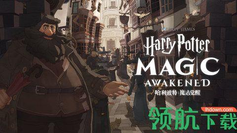 哈利波特魔法觉醒手游  v1.20.208080图3