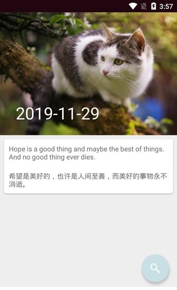 浪潮英语单词